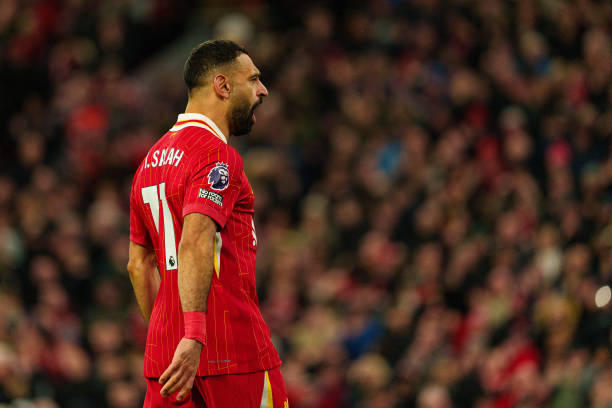 其中包括 其中包括